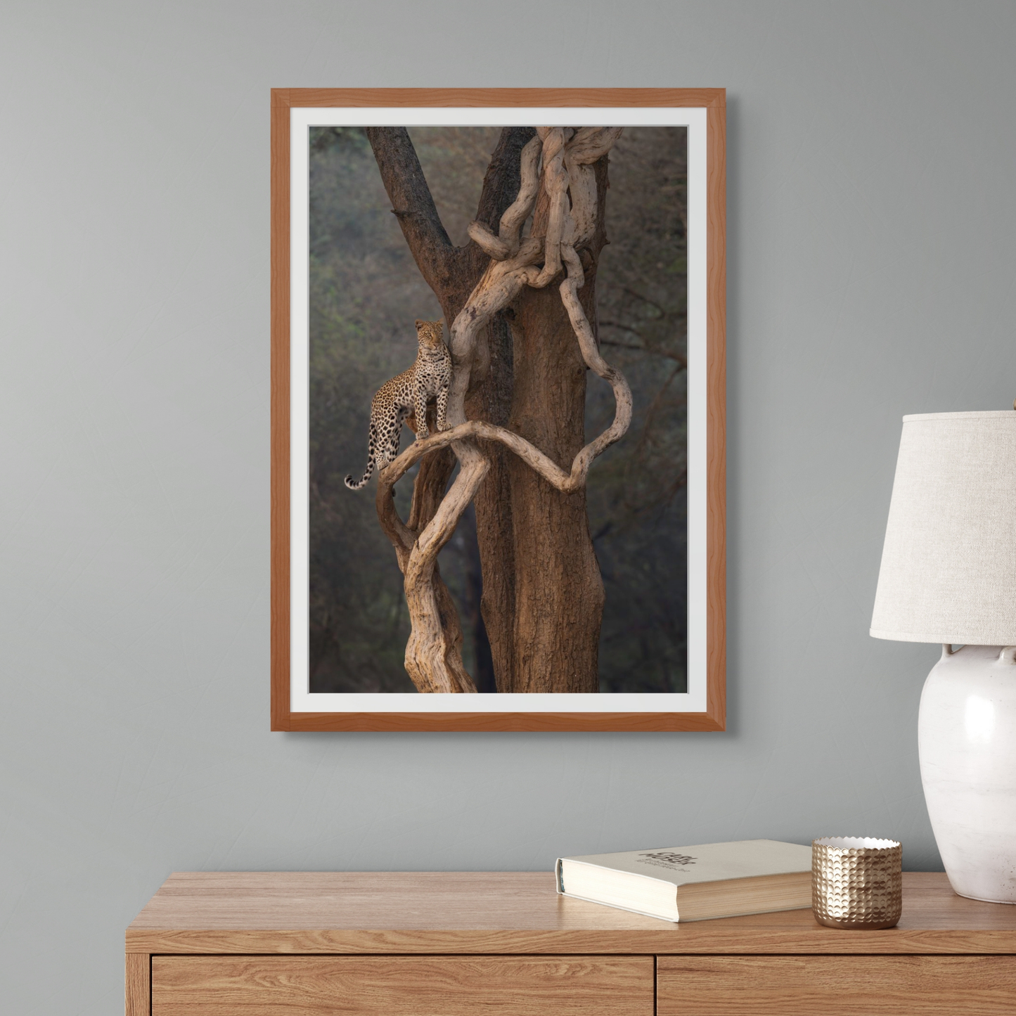 Leopard on a Snake - Signed Limited Edition
