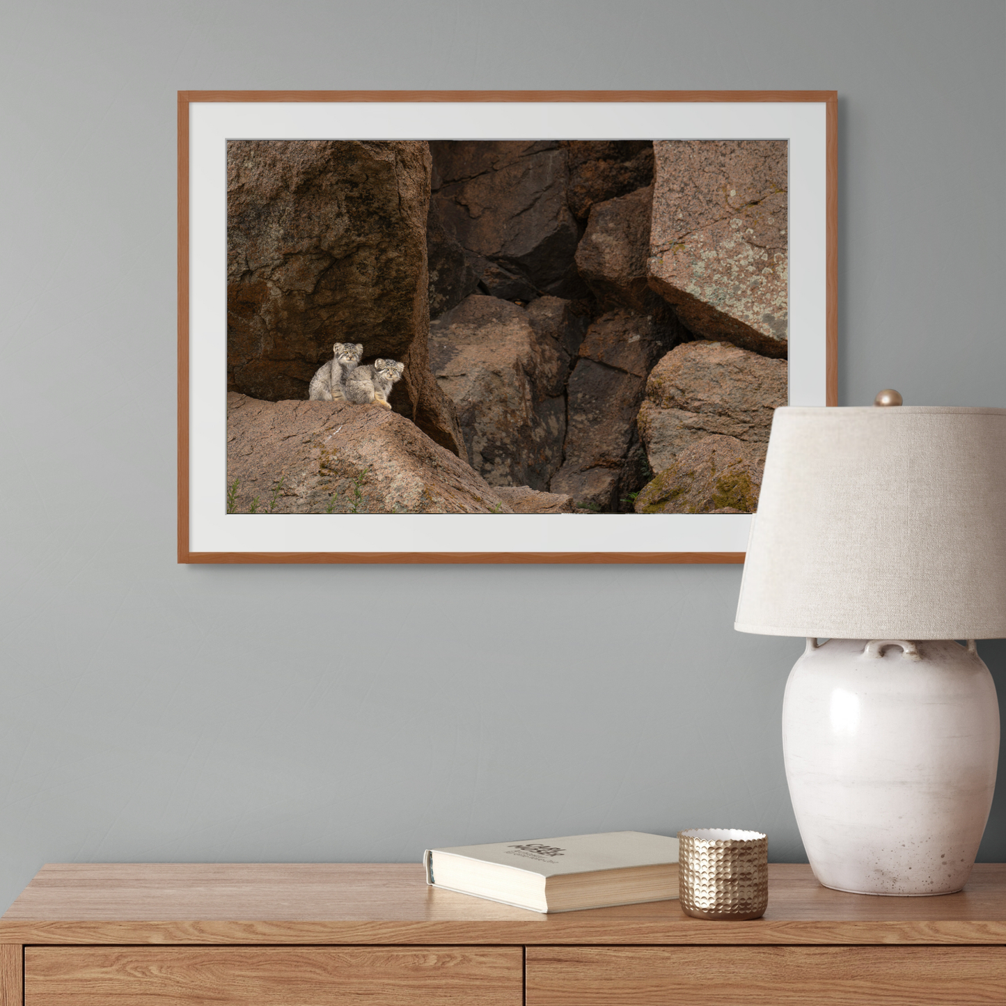 We are Hiding in the Rocks