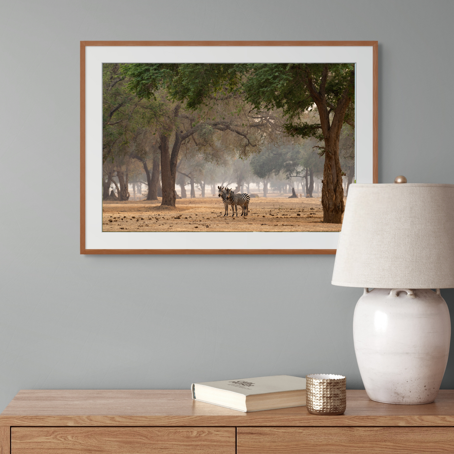 Zebra in the Forest