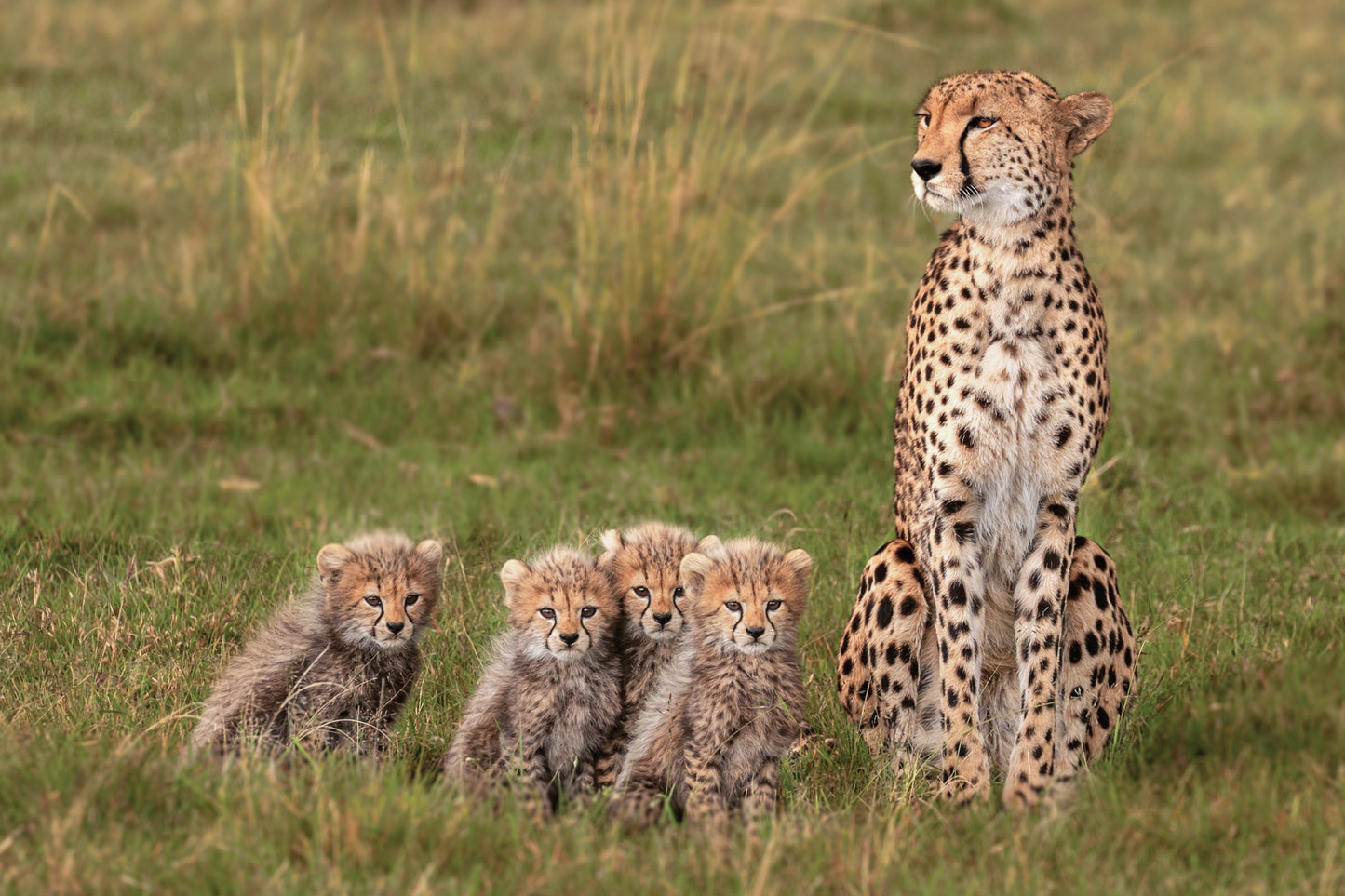 Family of 5