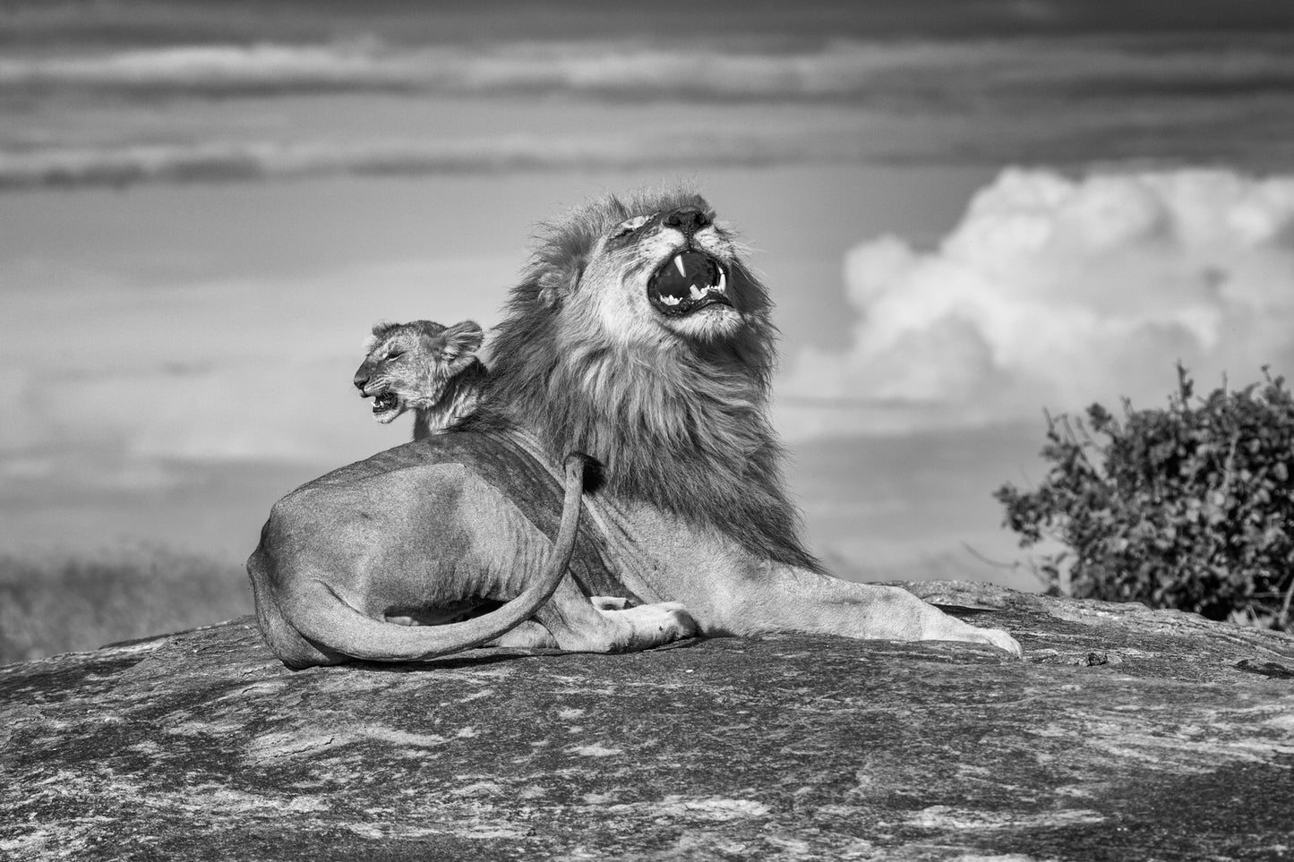 Father and Son