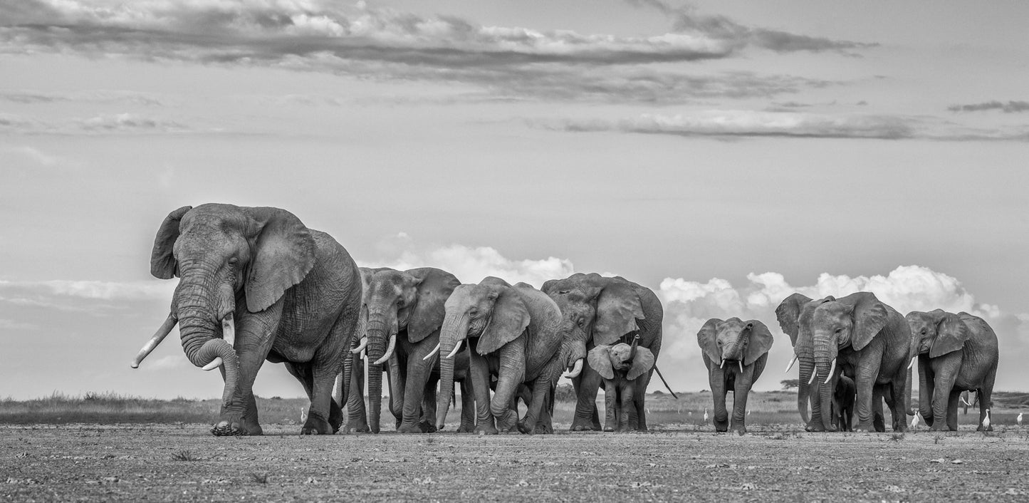 Family Walk