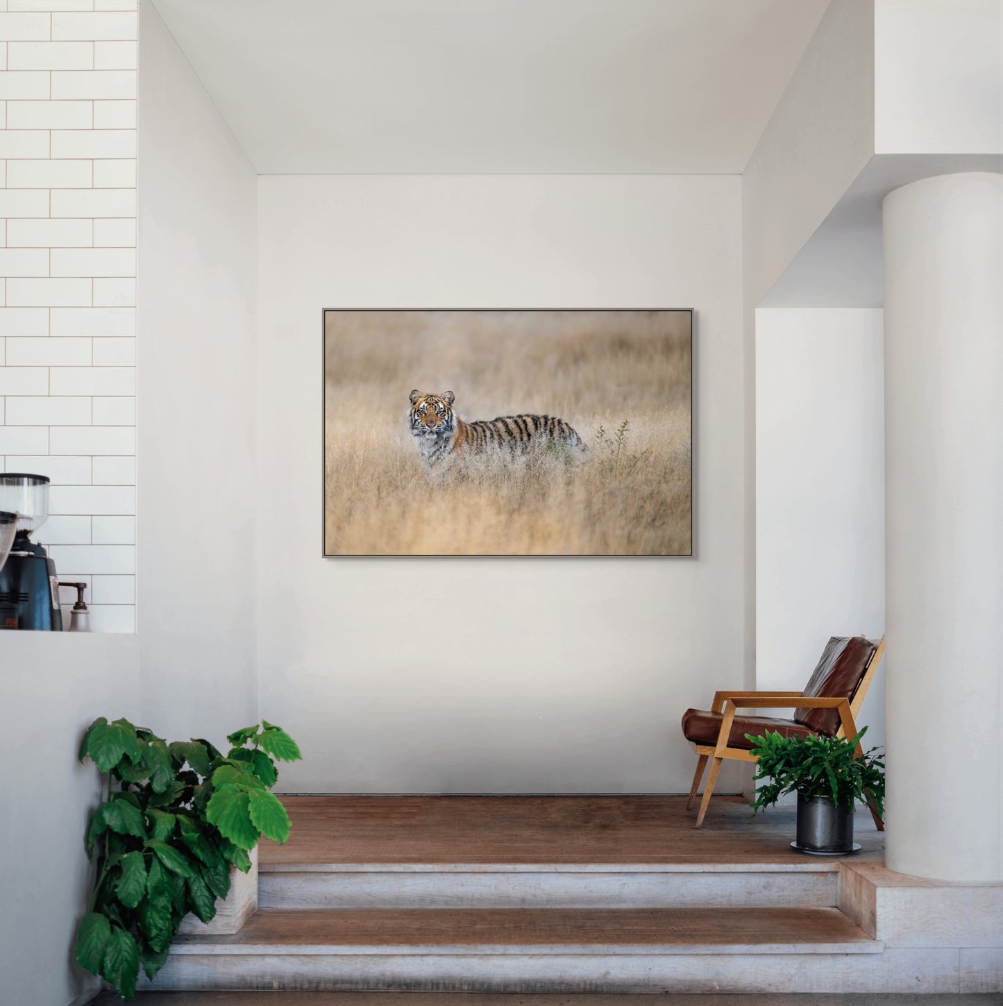 Tiger Heaven - Signed Limited Edition